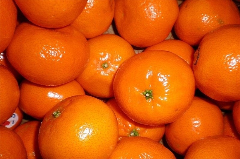 نارنگی ۱۱ هزار تومان شد