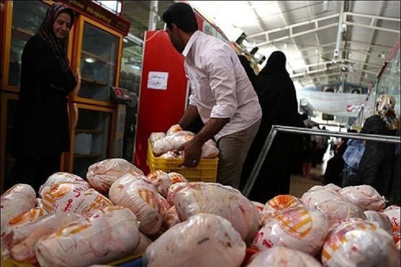 آغاز عرضه مرغ دولتی در فروشگاههای زنجیرهای