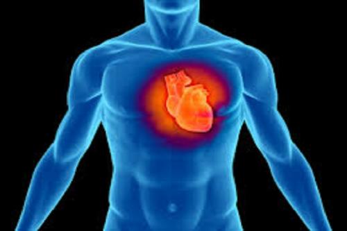 روش جدیدی برای شناسایی عامل بیماری قلبی ابداع شد