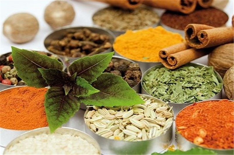 ضرورت وجود متخصصان طب سنتی در بیمارستان‌ها