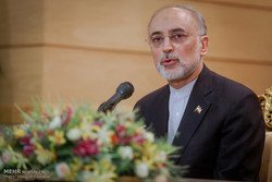 5+1 lagging behind full allegiance to deal: Salehi 