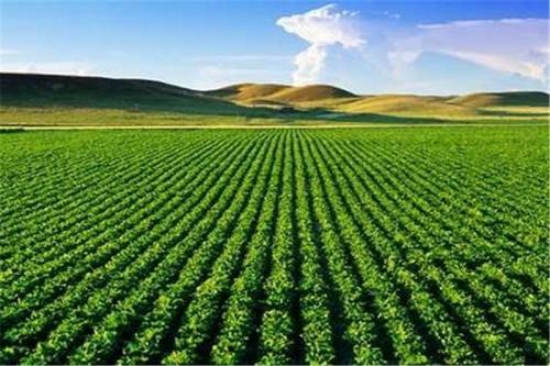 آیین‌نامه کشت فراسرزمینی تصویب شد