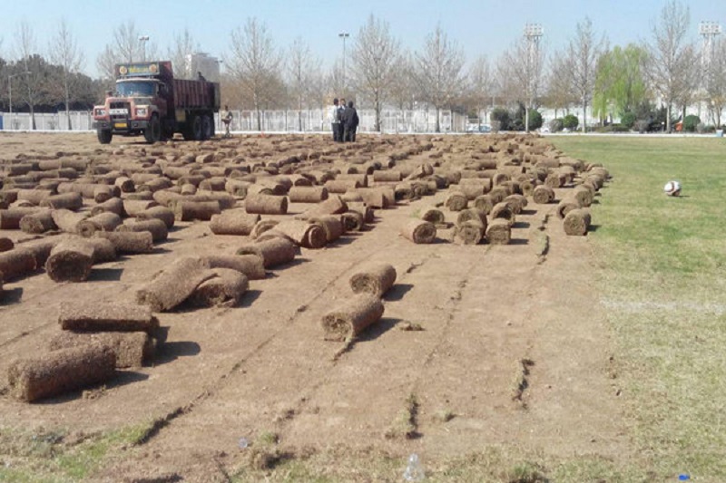 آغاز بازسازی زمین کمپ تیم ملی فوتبال/ دو میلیارد تومان برای ترمیم