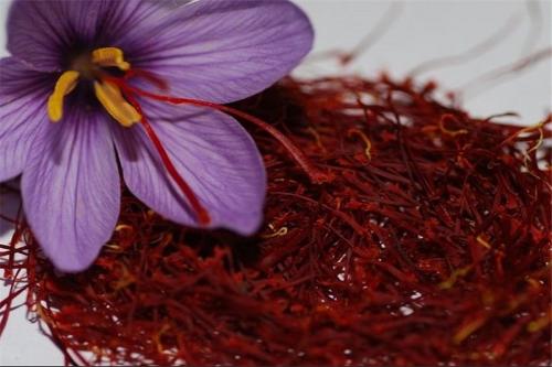 صادرات زعفران ایران به آمریکا بعد از رفع تحریم هنوز ۵۰کیلو‌ نشده/ تحریم دلار پابرجاست