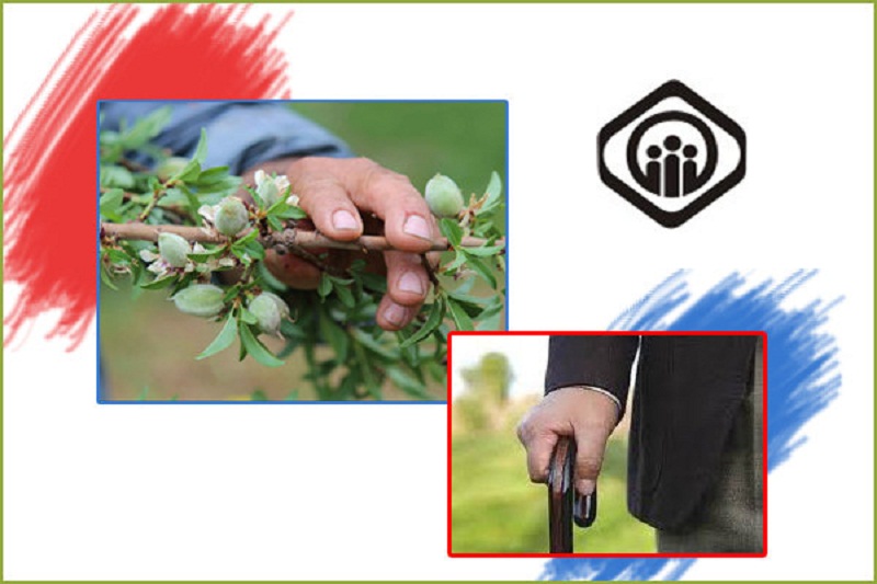 طرح جایگزین پرداخت مطالبات دولت/۵۵درصد بازنشستگان حداقل بگیرند