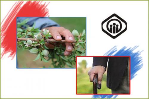 طرح جایگزین پرداخت مطالبات دولت/۵۵درصد بازنشستگان حداقل بگیرند