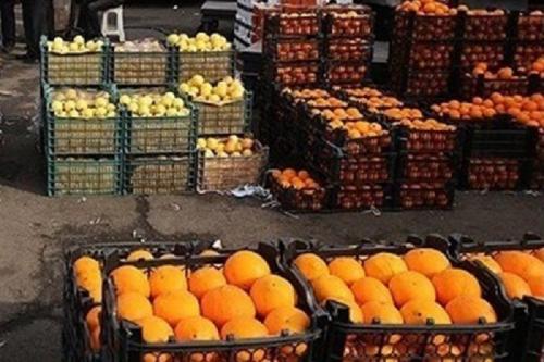 عرضه ۶۰ هزارتن میوه تنظیم بازارعید/ توزیع تا ۱۵فروردین ادامه دارد