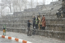 Snowy Day of Nature in Hamedan 