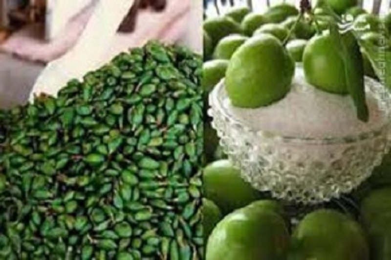 قیمت نجومی میوه های نوبرانه/ گوجه سبز کیلویی 100 هزار تومان