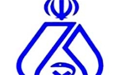 مظلوم‌نمایی؛ ترفند جدید رد صلاحیت شدگان نظام پزشکی