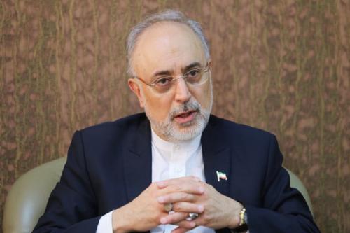 صالحی: طرف مقابل برجام سستی کند، واکنش مناسبی نشان خواهیم داد