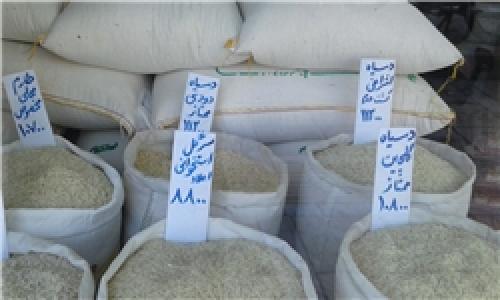 بازار رها شده کالاهای اساسی/ برنج ایرانی ۱۱ هزار تومان شد؛ عدس ۸ هزار تومان/ روایت بنکداران از برنج‌های تقلبی