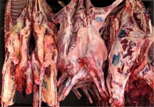 عرضه گوشت ویژه باغ وحش به مردم/استفاده از ضایعات گوشت برای کباب 