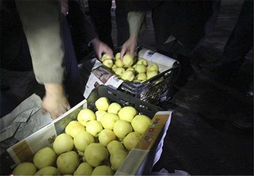 میوه‌ قاچاق دوباره به مغازه‌ها بازگشت/ انگور شیلی ۴۵ هزار تومان 