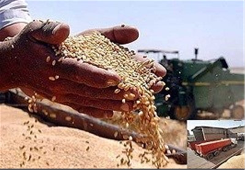 نرخ خرید تضمینی ۲۵ محصول کشاورزی به تعاون روستایی ابلاغ شد + جدول