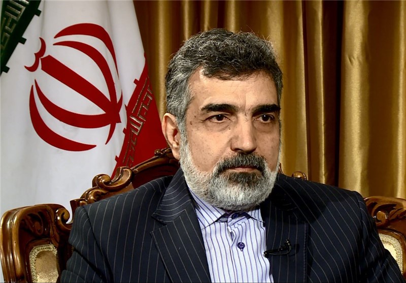 جزئیات نخستین همکاری هسته‌ای تهران- واشنگتن در گفتگو با سخنگوی سازمان انرژی اتمی 