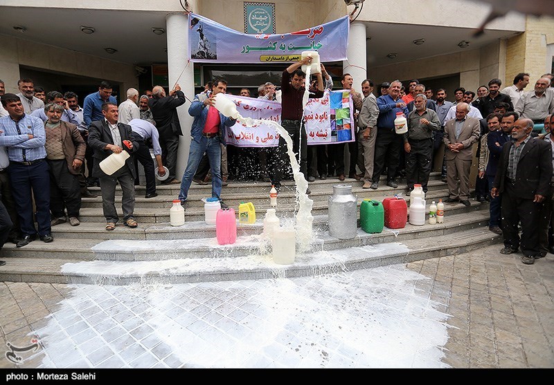 ورشکستگی ۹۰ درصد از دامداران