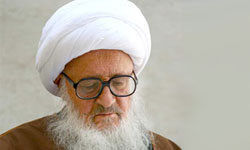 آیت‌الله وحیدخراسانی: دولت برای حل مشکلات اشتغال و ازدواج جوانان تلاش کند