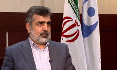 کمالوندی: فشارهای کنگره "مونیز" را وادار به سخن گفتن علیه ایران کرد 