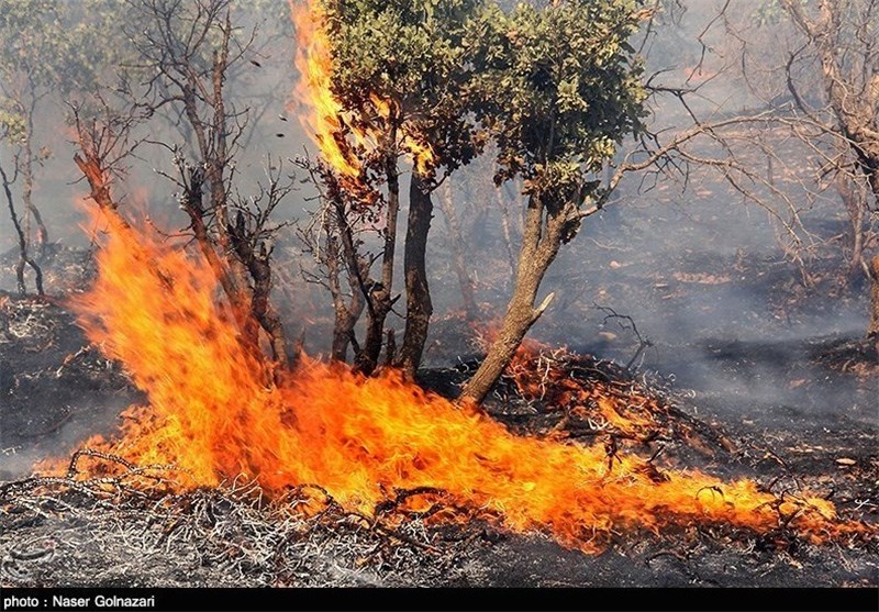 ۸۰۰ هکتار از مراتع استان همدان طعمه حریق شد/ ۹۵ درصد آتش‌سوزی‌ها منشاء انسانی دارد 