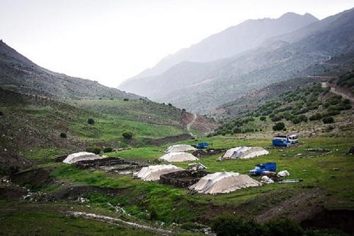 عکس:کوچ عشایر کرد زبان قهرمانلو