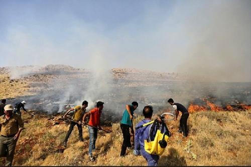  عکس:آتش سوزی در پارک ملی بمو شیراز