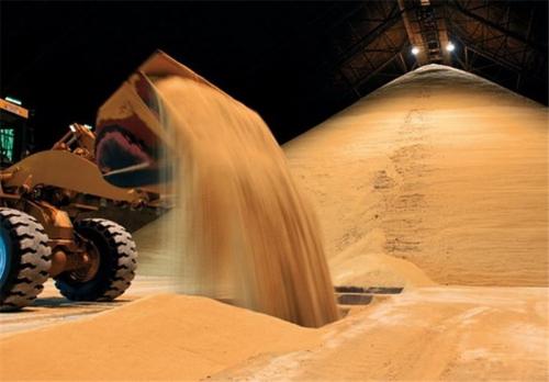 ۱۳ کارخانه تصفیه شکرخام و تولید قند از فروردین ۹۳ تاکنون تعطیل شد 