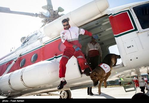 خرید بالگرد بعد از «برجام» سخت‌تر شد