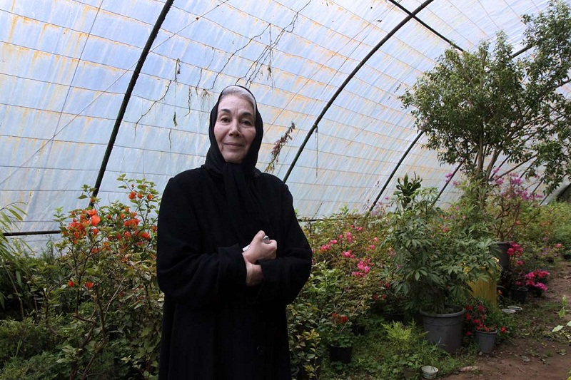 عضو هیچکدام از شبکه‌های اجتماعی موبایلی نیستم/استفاده صحیح از فضای مجازی باید فرهنگ‌سازی شود