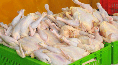 ذخیره‌سازی 100 هزار تن مرغ و 22هزار تن گوشت 