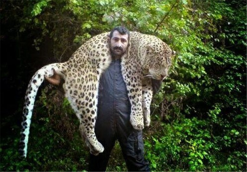  پلنگ مازندران روی دوش این مرد روستایی چه می‌کرد؟ 