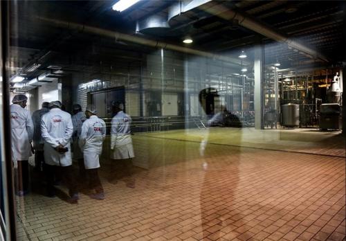«رکود» گریبان مدرنترین کارخانه لبنیات خاورمیانه را گرفت/«کاهش تولید» تا یک‌سوم ظرفیت