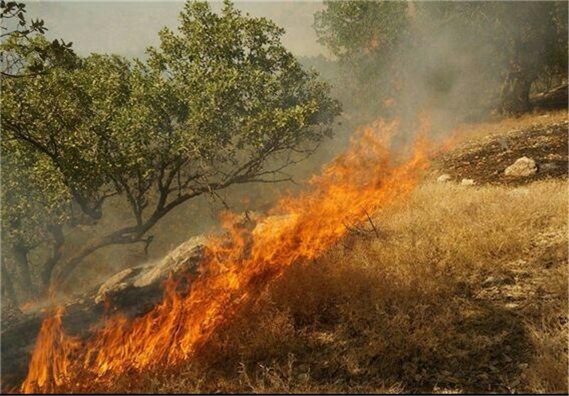 جنگل‌های لرستان همچنان در آتش می‌سوزد/ نیاز به حضور بالگرد + تصاویر