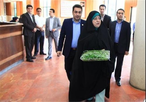 «سبزی‌های سیاسی» آفت محیط زیست!