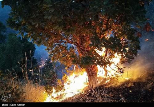  ۱۱۳۵ بار جنگلها و مراتع ایران از ابتدای سال دچار آتش‌سوزی شد/ زمین‌خواری ۳هزار هکتاری یک نفر 