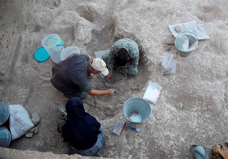  «کشاورزی» به قدمت ۱۲ هزار سال در ایران کشف شد