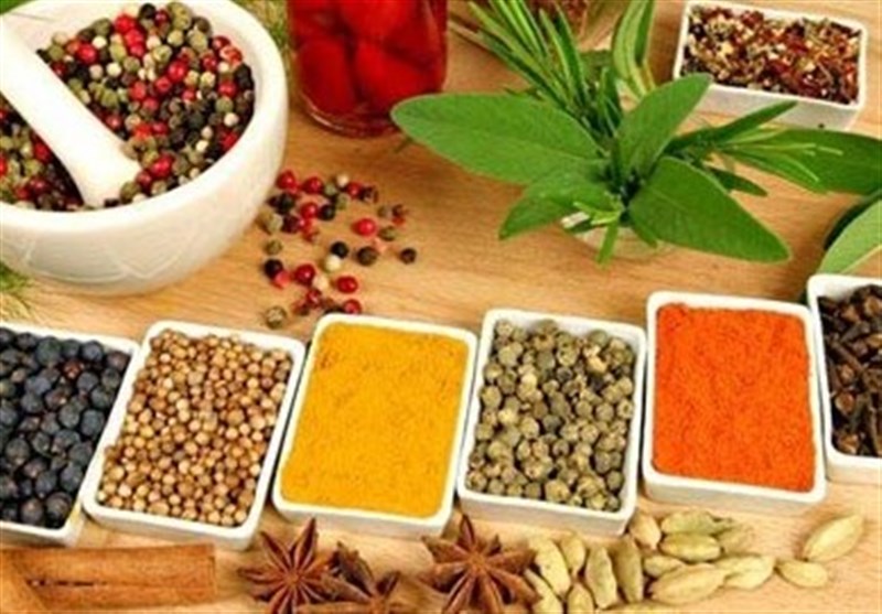  دلبری سفره ایرانی برای گردشگران خارجی/ محبوبترین غذاها برای توریست‌ها 