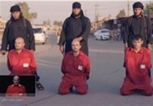  چرا قربانیان داعش هنگام ذبح شدن آرام هستند؟
