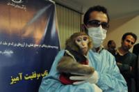 دلسوزی وزارت امور خارجه آمریکا برای میمون فضانورد ایرانی