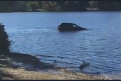 فیلم/ نجات راننده خودروی غرق شده در رودخانه