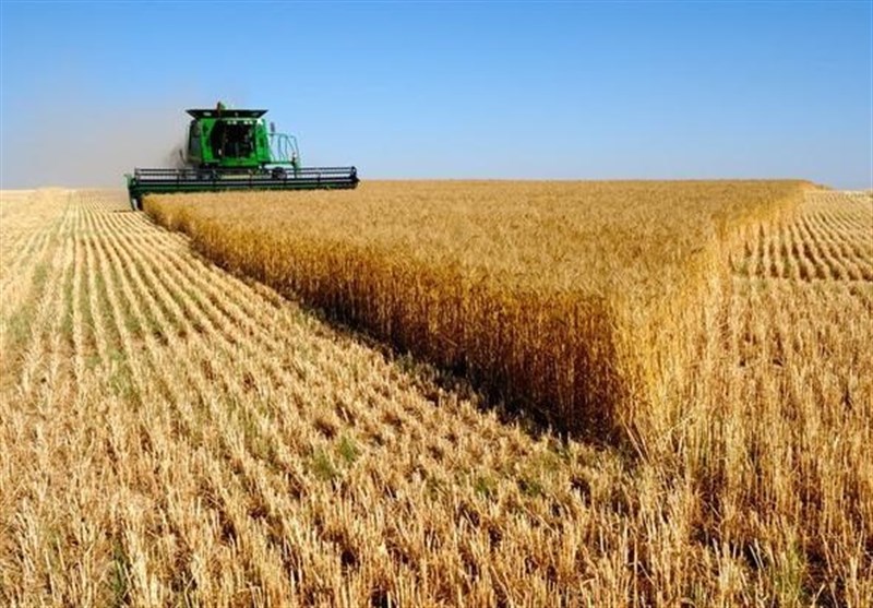  وعده تضمینی و عمل نسیه! 