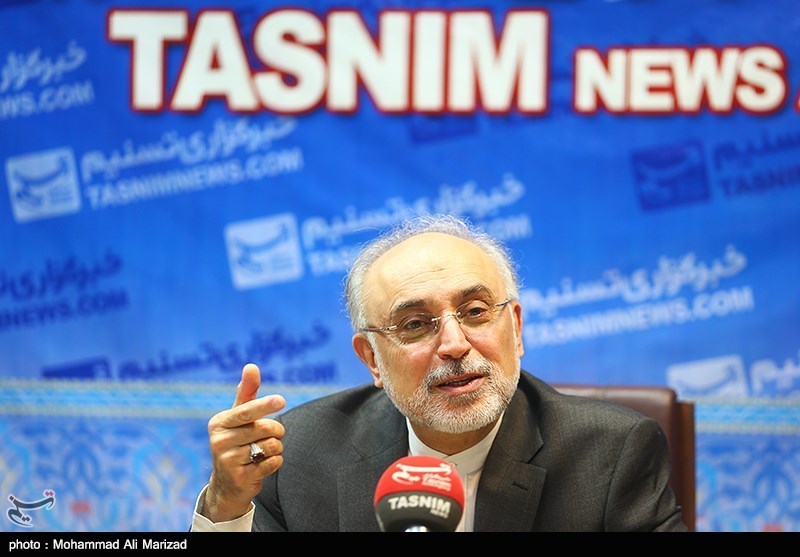  عدم‌همکاری بانکهای بزرگ غربی با ایران "مشهود" است/ منظور از نظارت آنلاین ارسال تصویر به وین نیست 