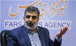 قرارداد با چینی ها برای بازطراحی راکتور اراک نهایی شده اما گفت‌وگو بر سر قیمت ادامه دارد/امضای قرارداد همکاری هسته ای بین ایران و چک