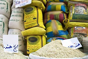 کاهش 50 درصدی تعرفه واردات برنج