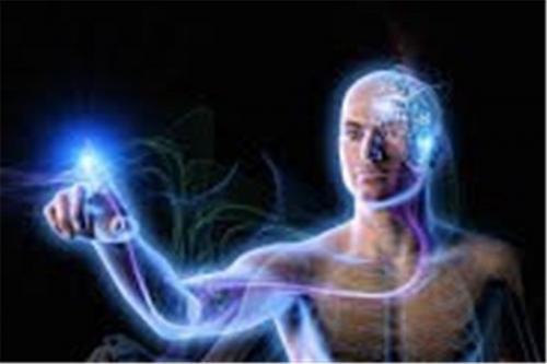  چگونگی چروکیدگی مغز / رشد مغز در ۲۰ سالگی متوقف می‌شود 