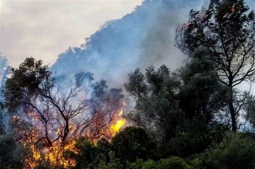  آتش‌سوزی گسترده در سرزمین‌های اشغالی 