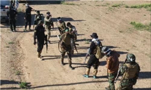 الحشد الشعبی مختص شیعیان نیست/ 25 گروه عضو الحشد الشعبی از اهل سنت هستند