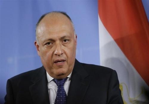  چرا عربستان به دنبال برکناری وزیر خارجه مصر است؟
