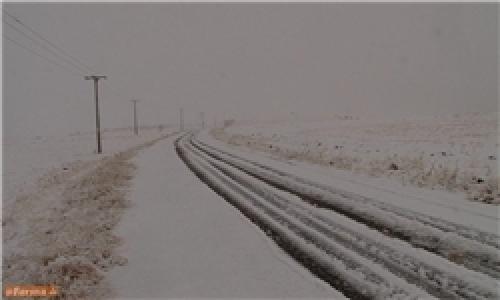 اردبیل در 16 آذر روسفید شد/ بارش برف و برودت هوا در اردبیل