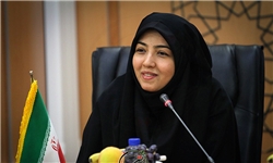 تهیه طرح «اصلاح ممنوعیت بکارگیری بازنشستگان»/ ممنوعیت ورود استانداران، سفرا و معاونان وزرا پس از بازنشستگی به حوزه مدیریت خدمات کشوری
